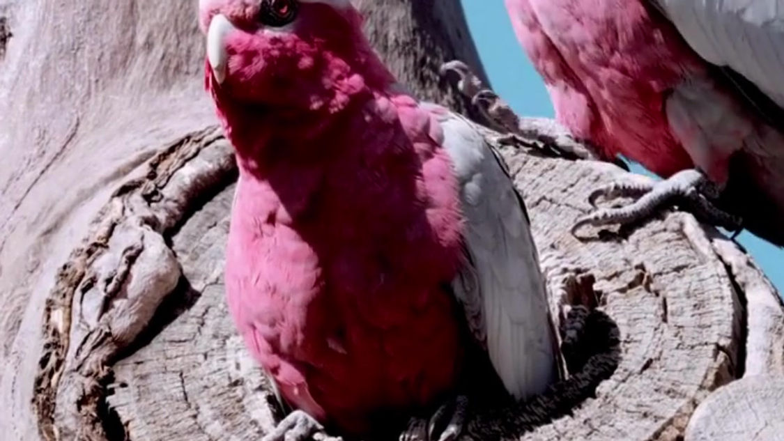 It's time to celebrate